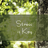 Stress is Key TAK 231